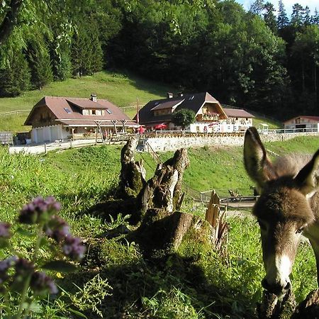 Ferienwohnung Hochsteinalm Траункірхен Екстер'єр фото