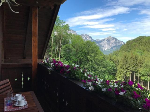 Ferienwohnung Hochsteinalm Траункірхен Екстер'єр фото