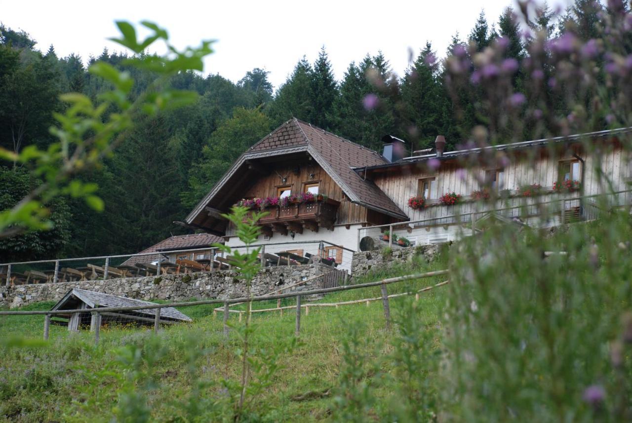 Ferienwohnung Hochsteinalm Траункірхен Екстер'єр фото